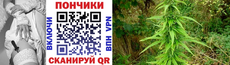 Конопля THC 21%  Лермонтов 